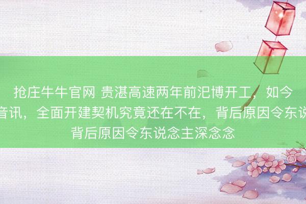 抢庄牛牛官网 贵湛高速两年前汜博开工，如今却久无动工音讯，全面开建契机究竟还在不在，背后原因令东说念主深念念